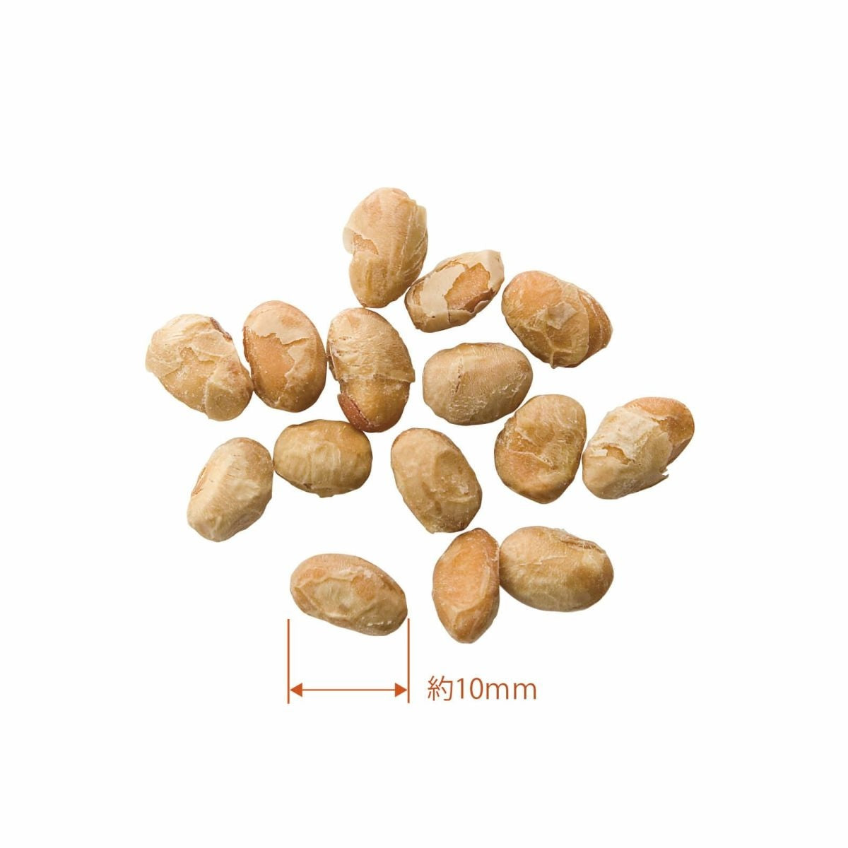 【dot nyan ドットにゃん】ペット用 おやつ フリーズドライ納豆(20g)