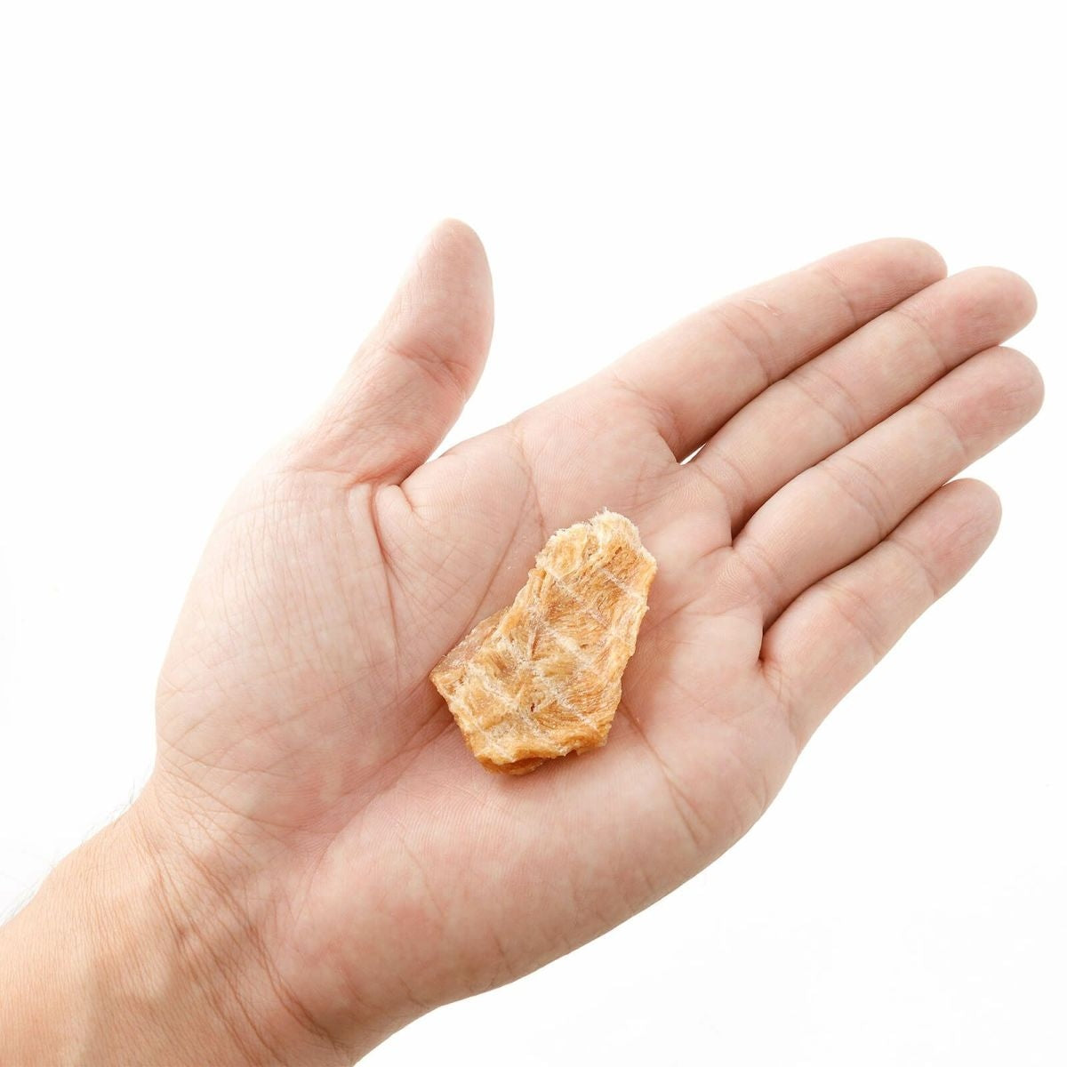 【dot nyan ドットにゃん】香りささみジャーキー(15g)