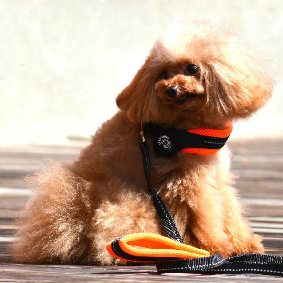 【トレポンティ Tre Ponti】フィッビア アジャスタブルタイプ ソフトメッシュ サイズ1 / サイズ1.5