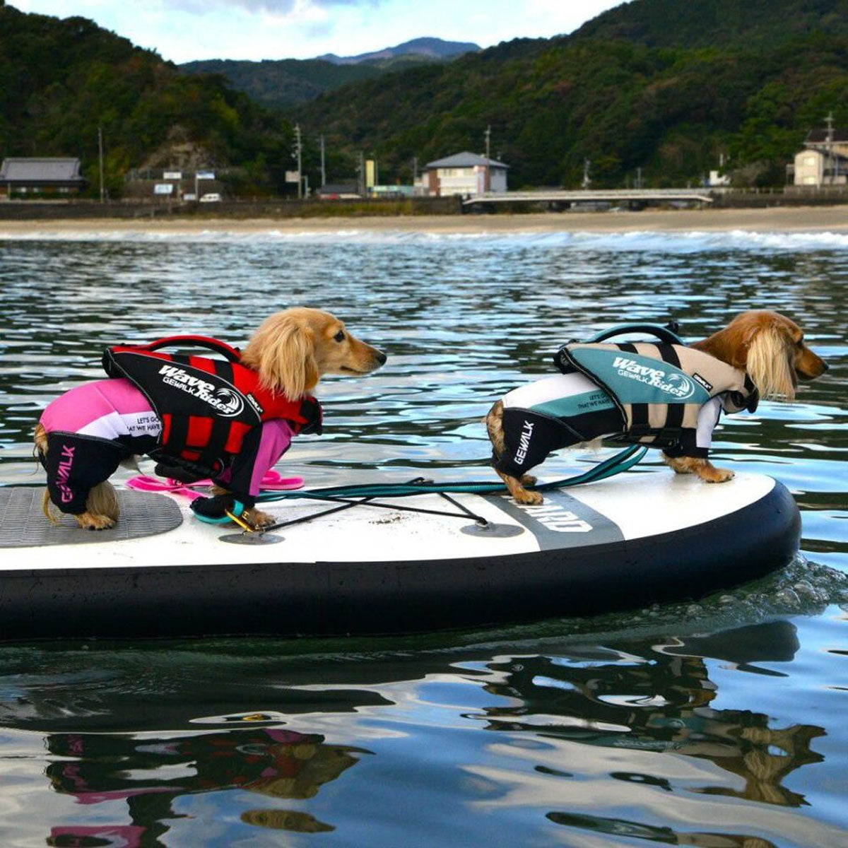 【GEWALK ジウォーク】【2025年モデル】ウェーブライダー エコ XXSサイズ 取り寄せ品