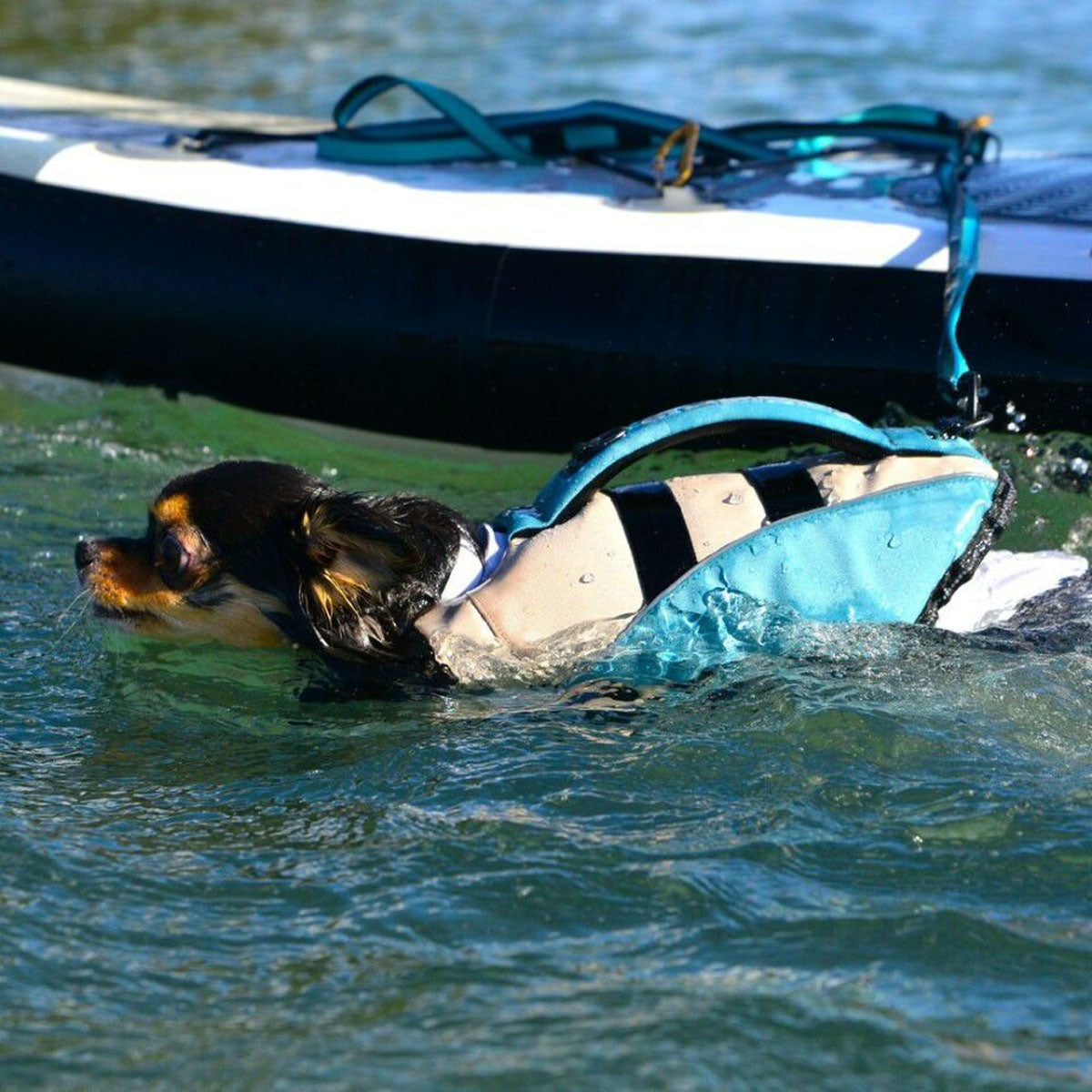 【GEWALK ジウォーク】【2025年モデル】ウェーブライダー エコ XSサイズ 取り寄せ品