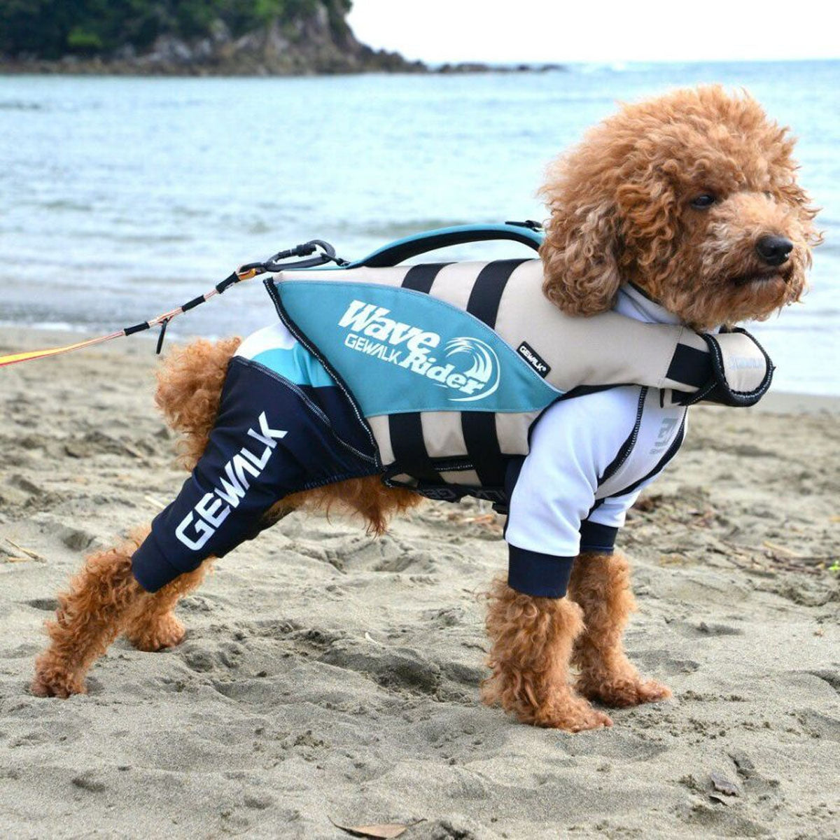 【GEWALK ジウォーク】【2025年モデル】ウェーブライダー エコ Sサイズ