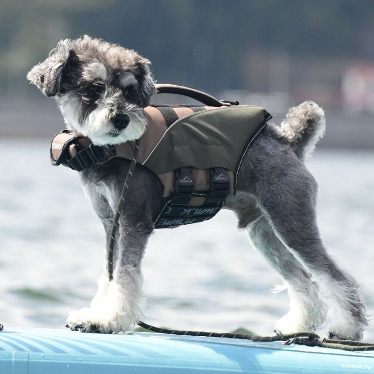 【GEWALK ジウォーク】【2025年モデル】ウェーブライダー エコ Sサイズ