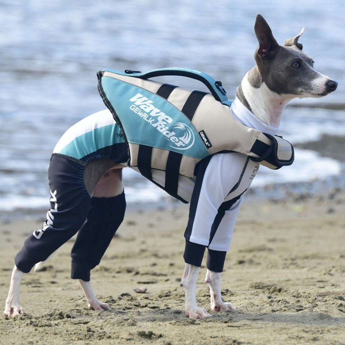 【GEWALK ジウォーク】【2025年モデル】ウェーブライダー エコ Sサイズ