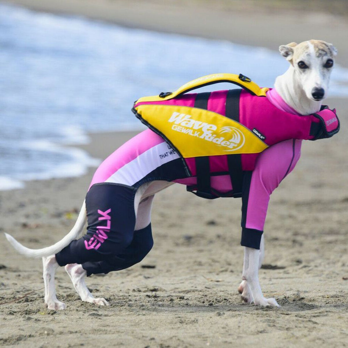 【GEWALK ジウォーク】【2025年モデル】ウェーブライダー エコ Mサイズ