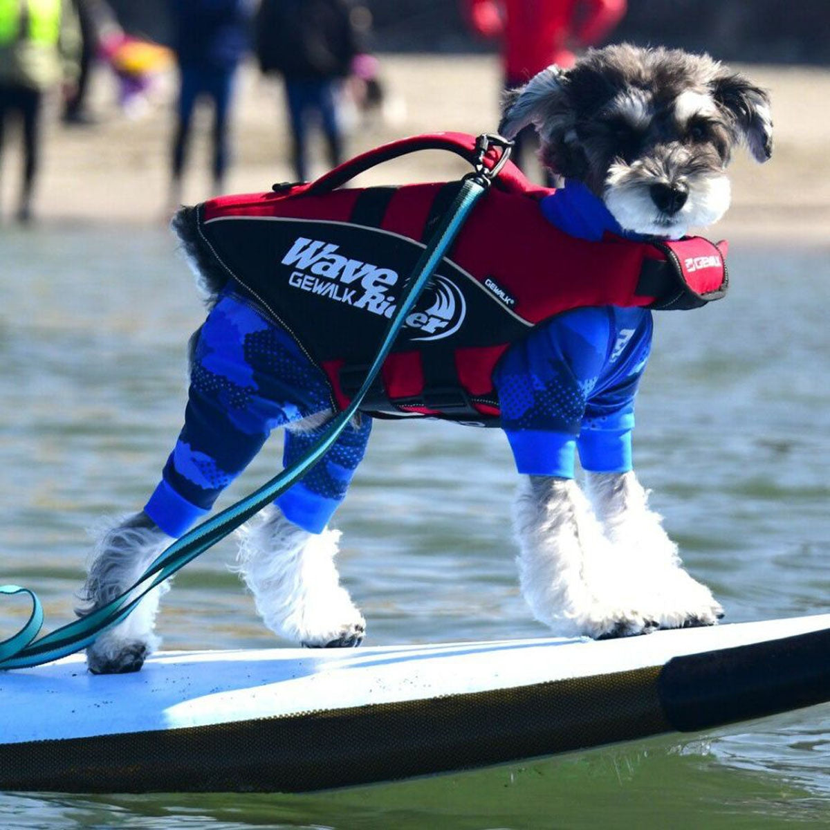 【GEWALK ジウォーク】【2025年モデル】ウェーブライダー エコ Mサイズ