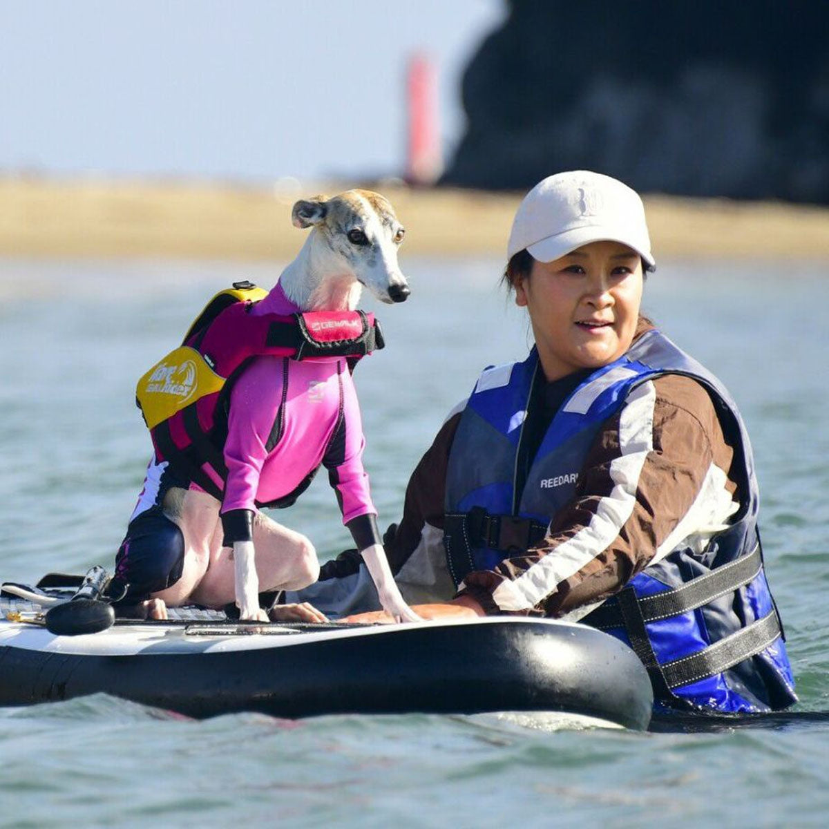 【GEWALK ジウォーク】【2025年モデル】ウェーブライダー エコ Mサイズ