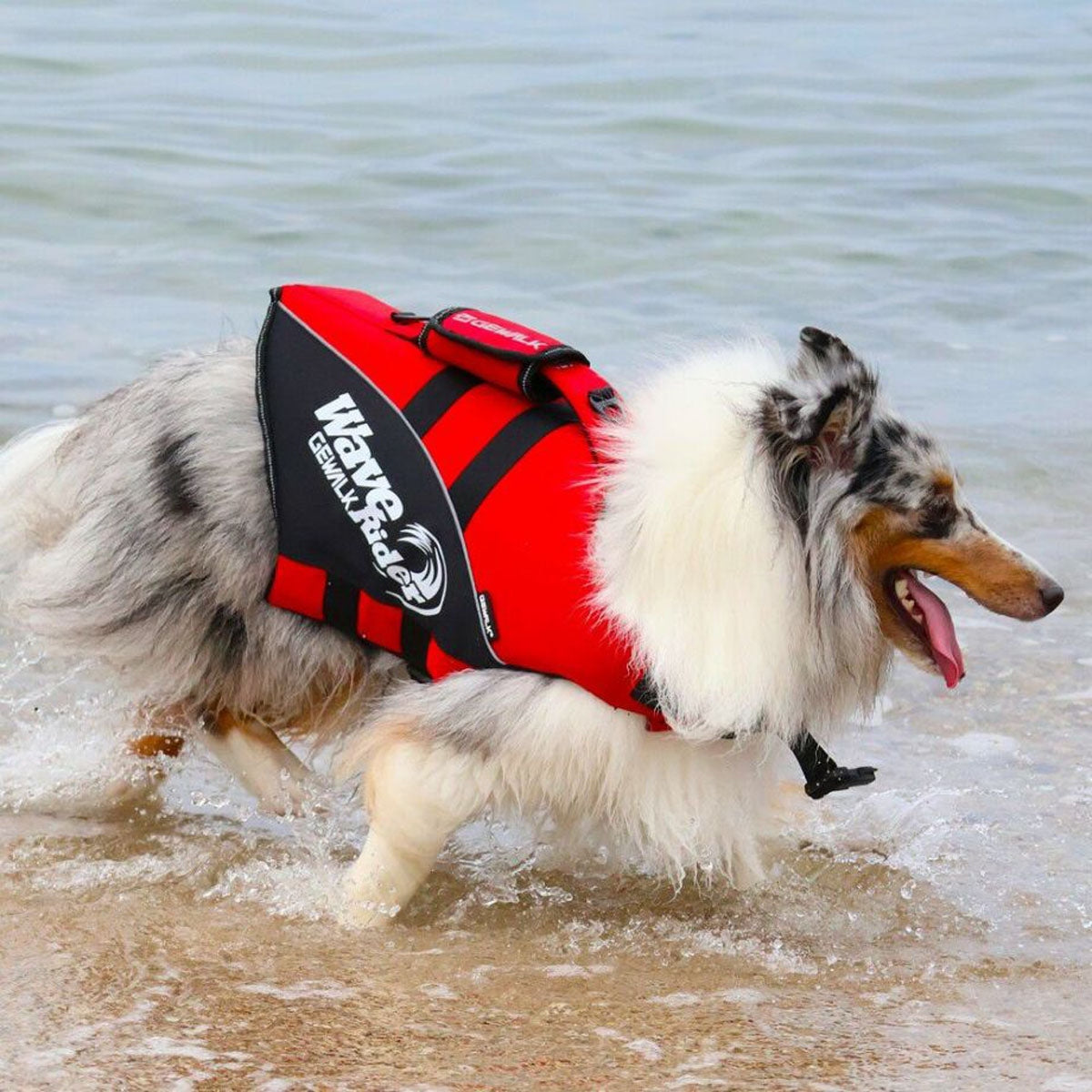 【GEWALK ジウォーク】【2025年モデル】ウェーブライダー エコ Lサイズ