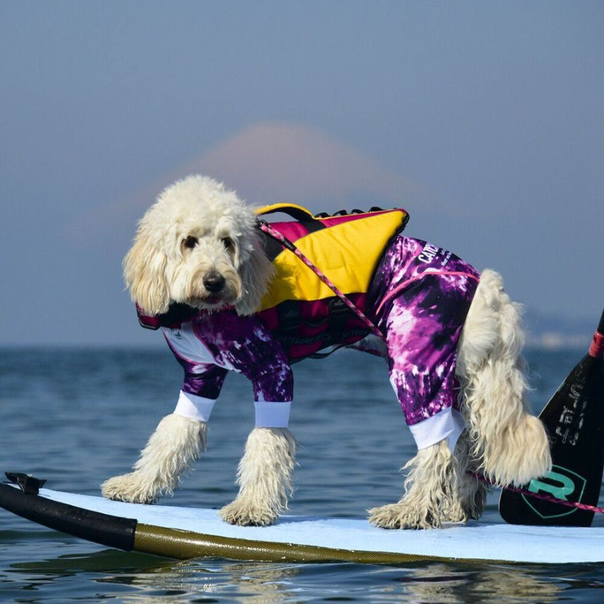 【GEWALK ジウォーク】【2025年モデル】ウェーブライダー エコ Lサイズ