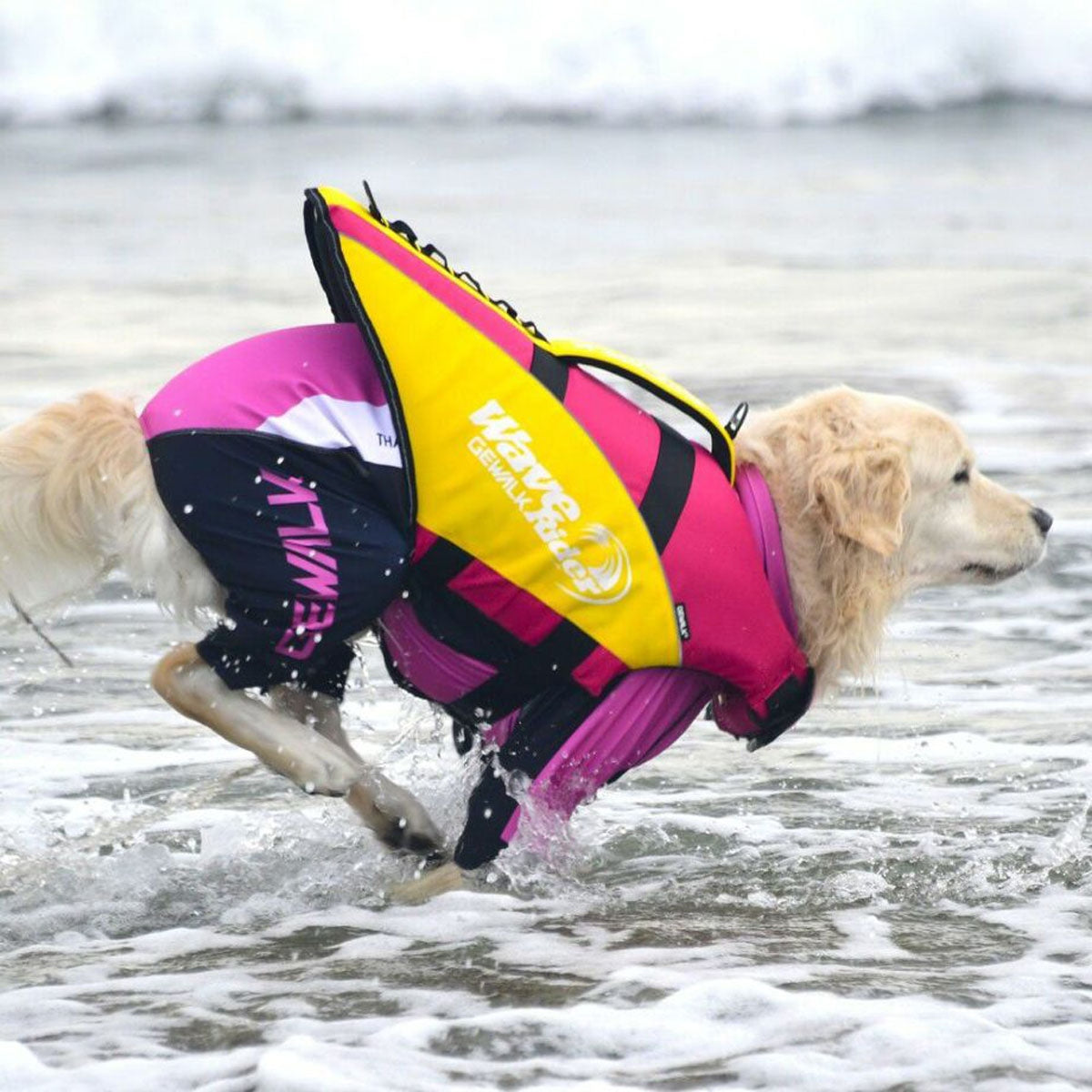 【GEWALK ジウォーク】【2025年モデル】ウェーブライダー エコ XLサイズ