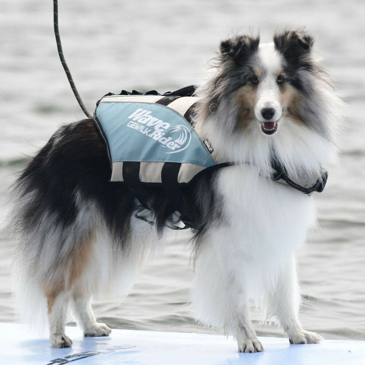 【GEWALK ジウォーク】【2025年モデル】ウェーブライダー エコ XLサイズ