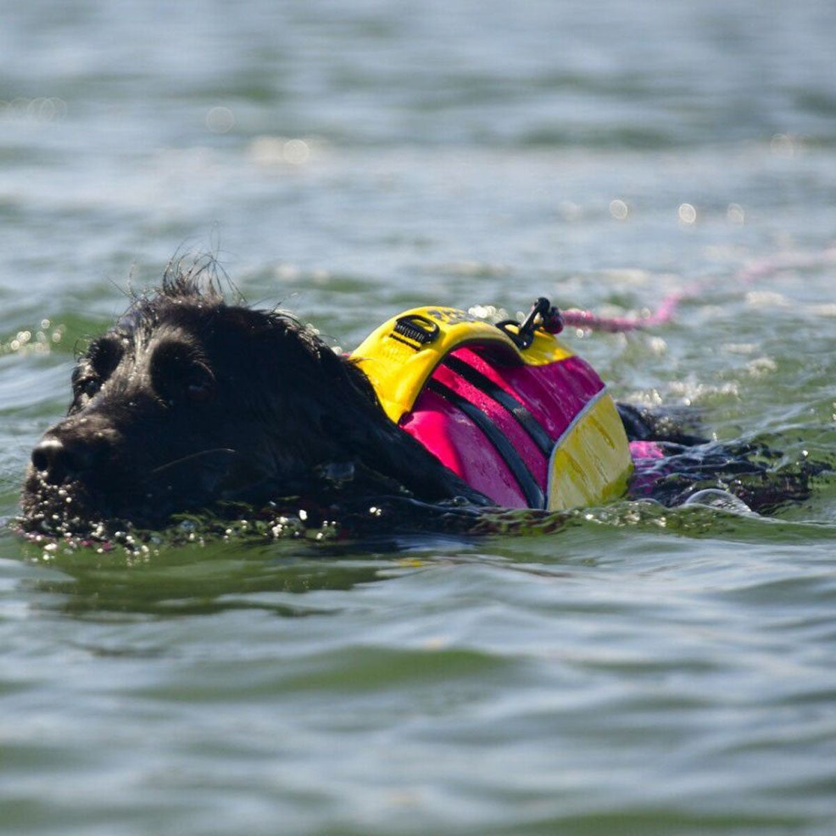 【GEWALK ジウォーク】【2025年モデル】ウェーブライダー エコ 2XLサイズ