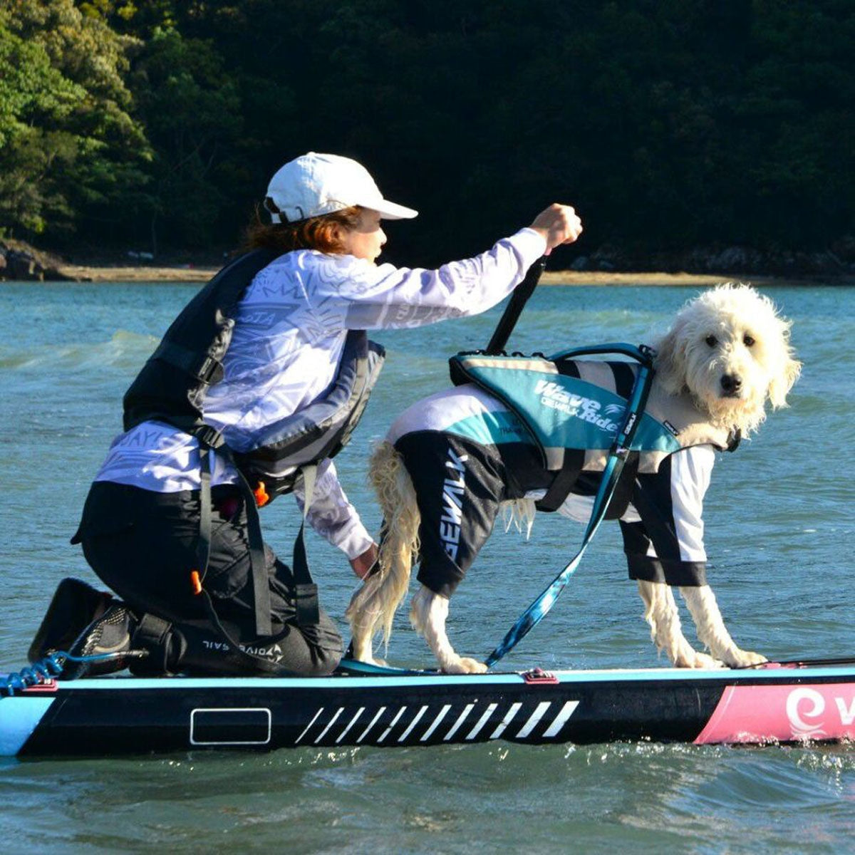 【GEWALK ジウォーク】【2025年モデル】ウェーブライダー エコ 2XLサイズ