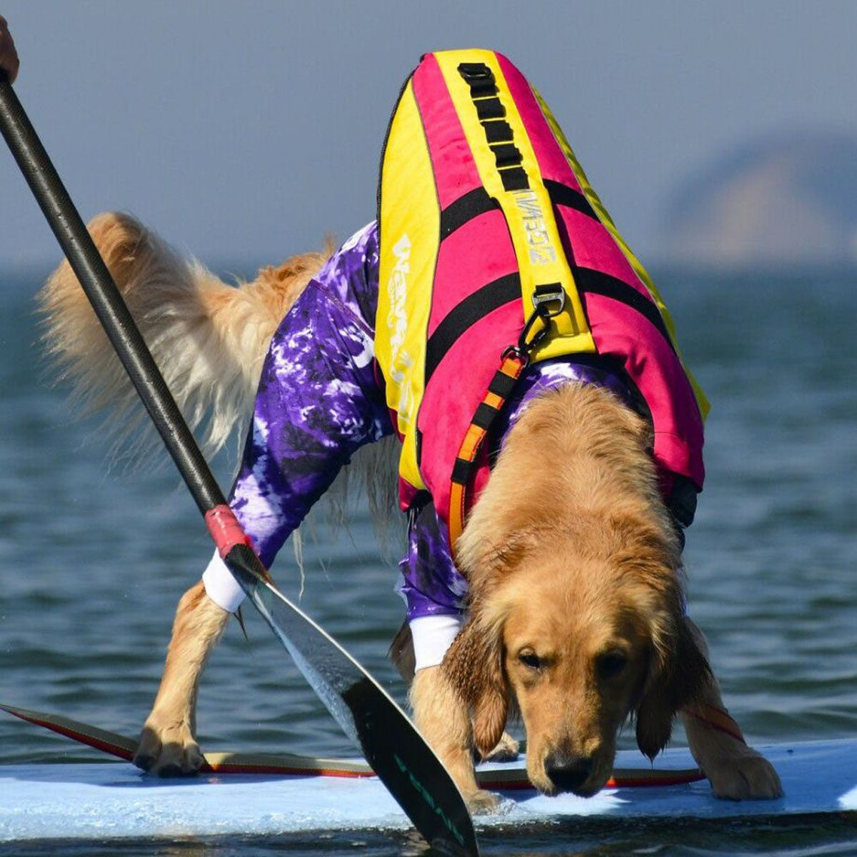 【GEWALK ジウォーク】【2025年モデル】ウェーブライダー エコ 2XLサイズ