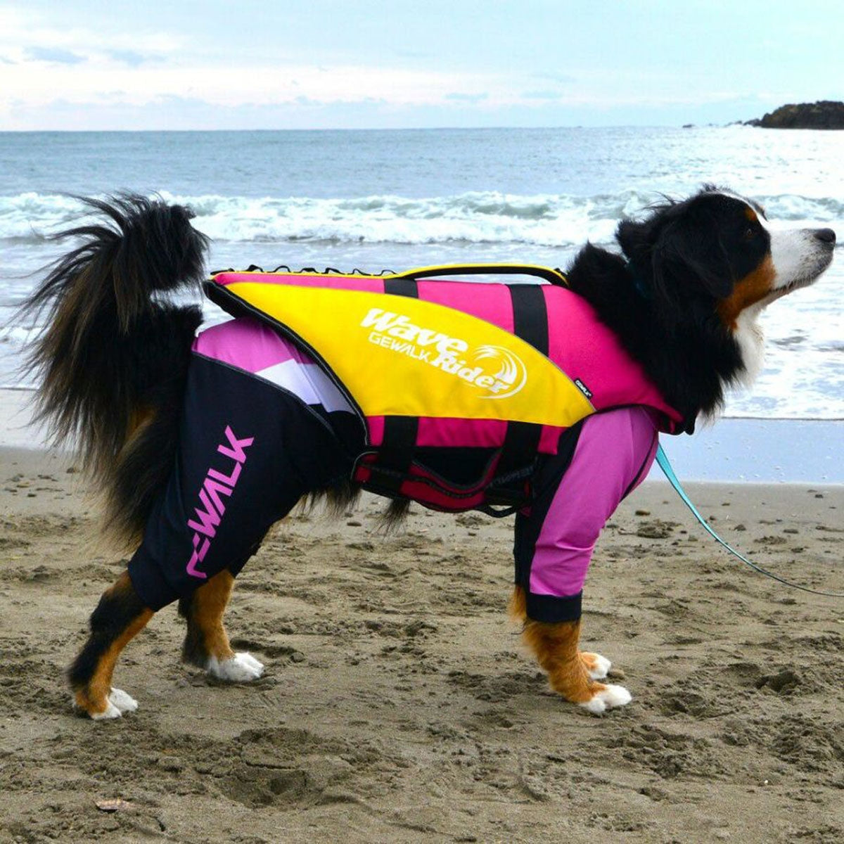 【GEWALK ジウォーク】【2025年モデル】ウェーブライダー エコ 3XLサイズ 取り寄せ品