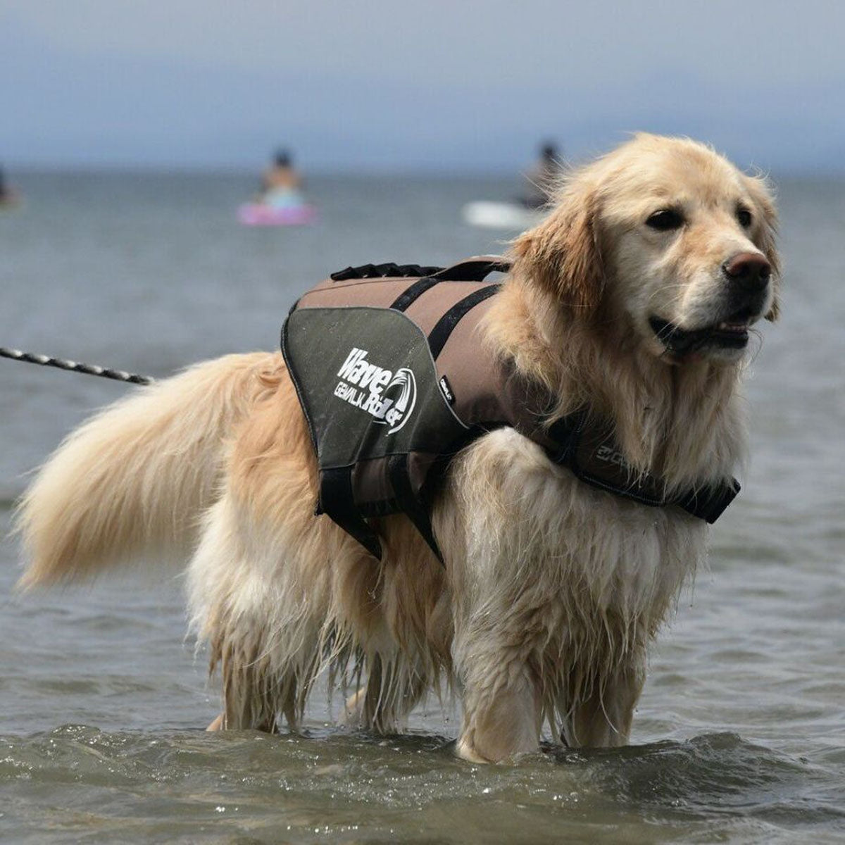 【GEWALK ジウォーク】【2025年モデル】ウェーブライダー エコ 3XLサイズ 取り寄せ品