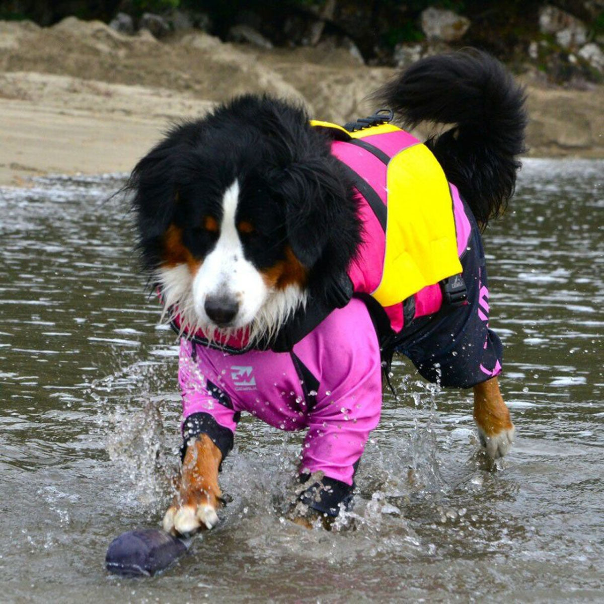 【GEWALK ジウォーク】【2025年モデル】ウェーブライダー エコ 3XLサイズ 取り寄せ品