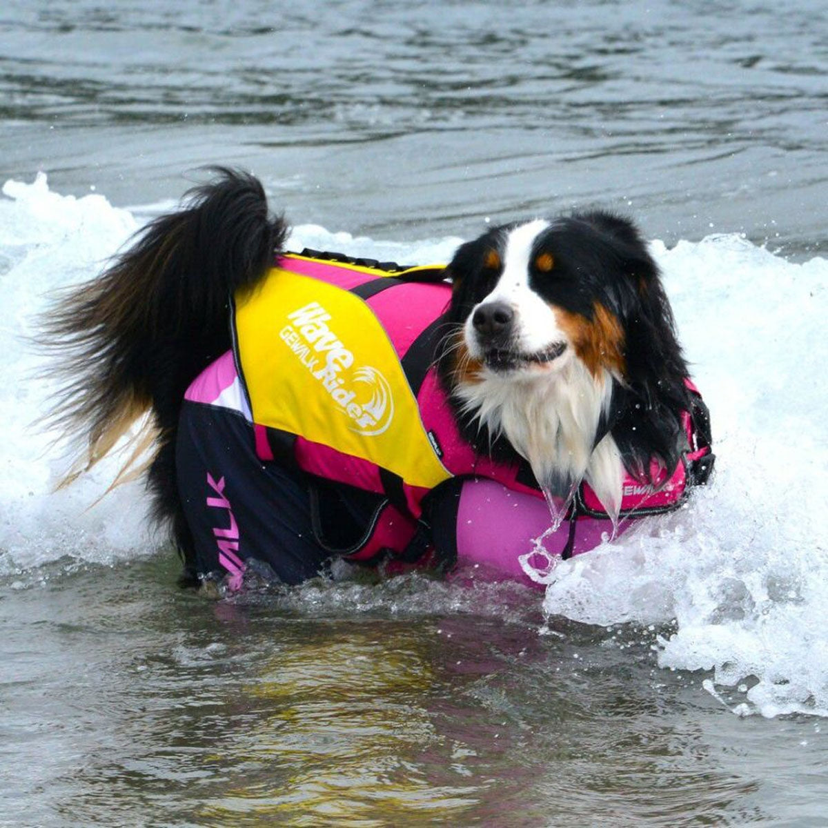 【GEWALK ジウォーク】【2025年モデル】トリコロール カラー プリント プロテクト ストレッチ ロンパース 5XLサイズ 取り寄せ品