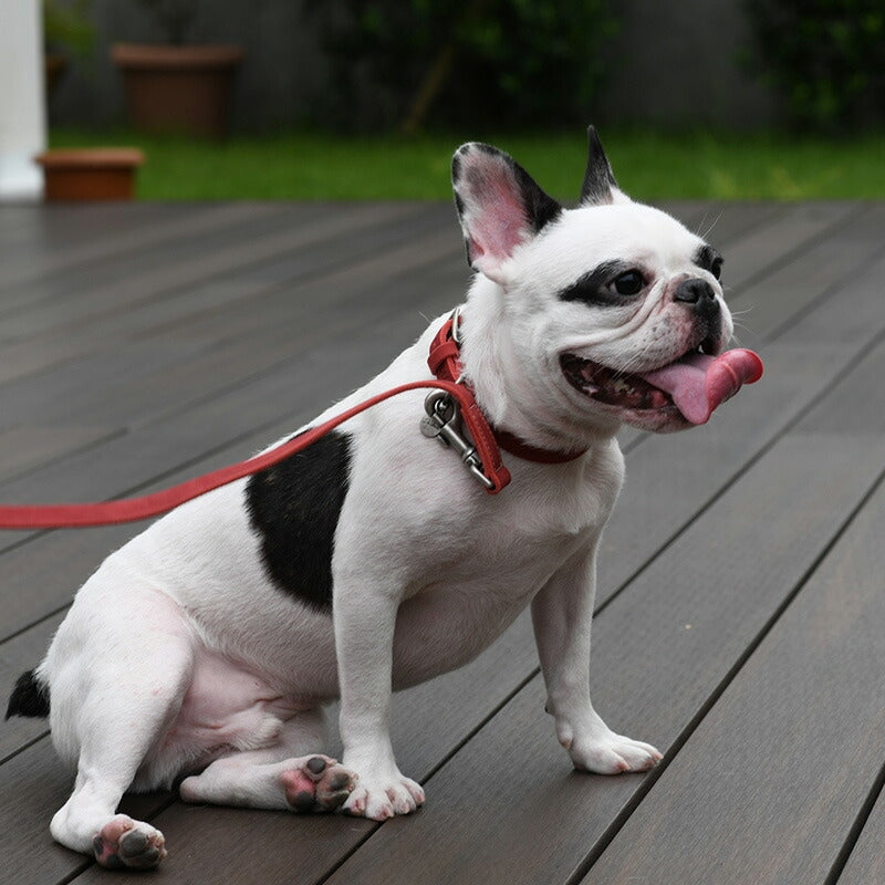 【Da Vinci ダヴィンチ】ペッレイングラッサカロラータ カラー サイズ4