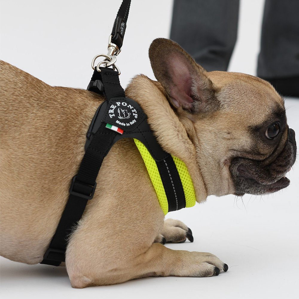 【トレポンティ Tre Ponti】フィッビア アジャスタブルタイプ ソフトメッシュ サイズ3 / サイズ3.5