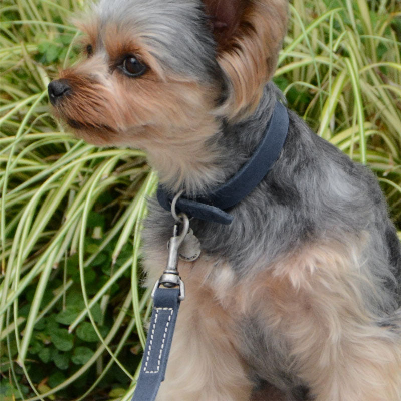 【Da Vinci ダヴィンチ】ペッレイングラッサカロラータ カラー サイズ2.5/3/3.5