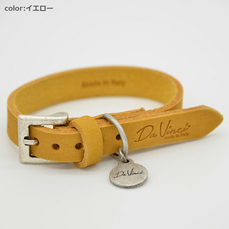 【Da Vinci ダヴィンチ】ペッレイングラッサカロラータ カラー サイズ4