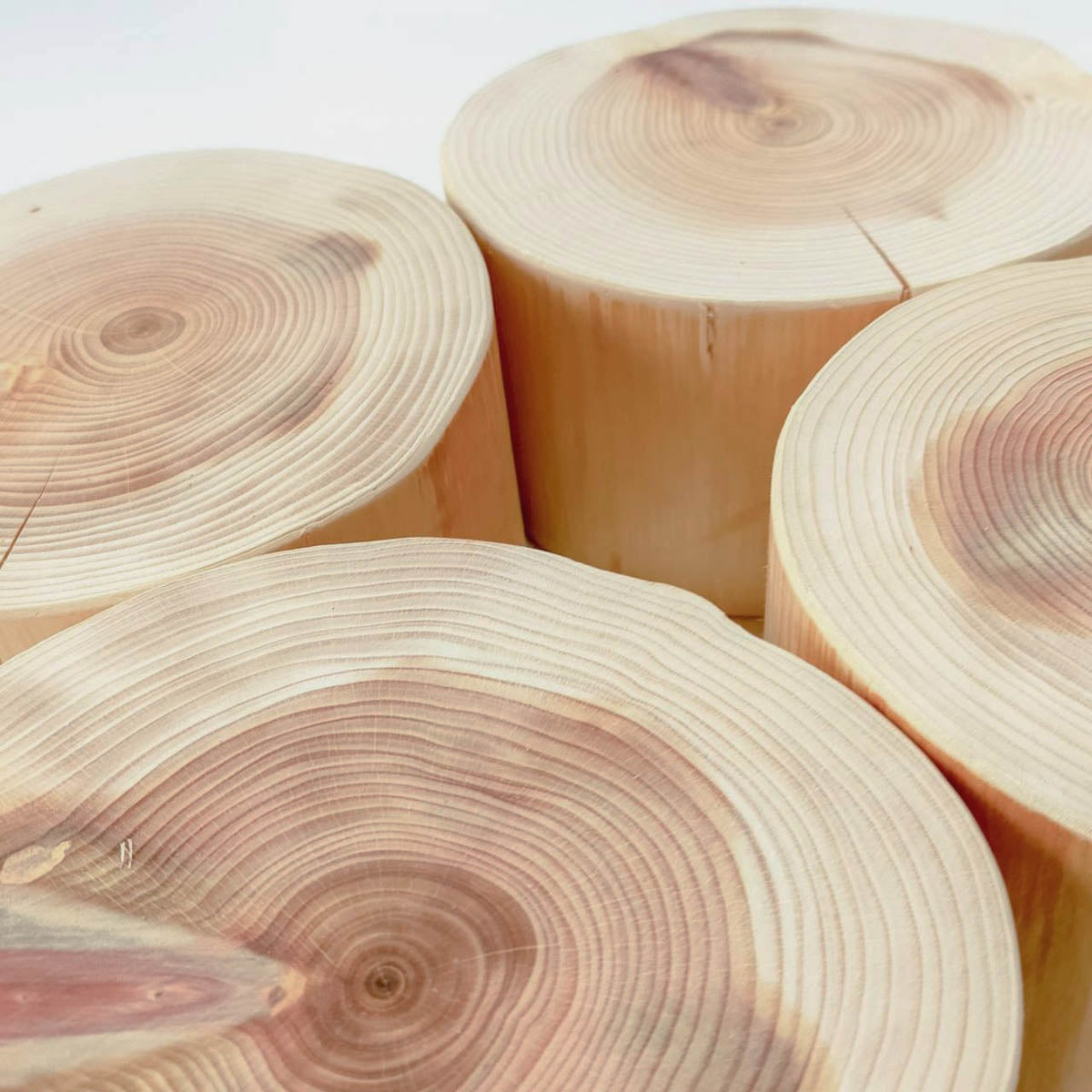 【Felesto フェレスト】Log Bowl ヒノキのログボウル 丸太の餌台 ごはん専用 耐熱ガラスボウル付