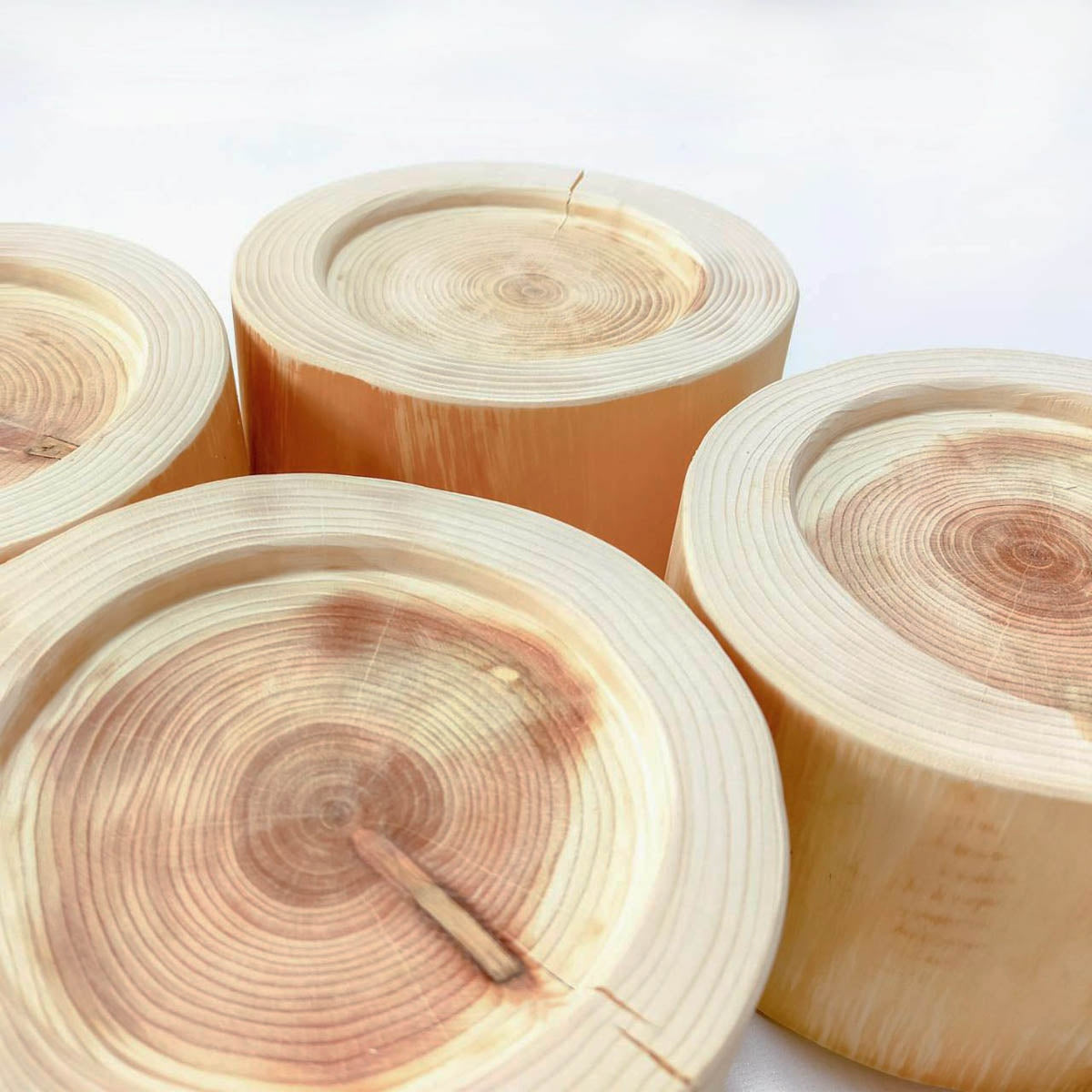 【Felesto フェレスト】Log Bowl ヒノキのログボウル 丸太の餌台 ごはん専用 耐熱ガラスボウル付
