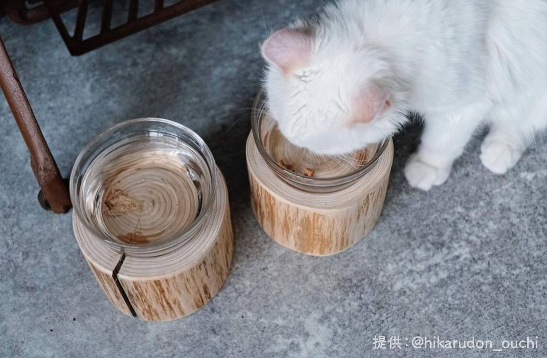 【Felesto フェレスト】Log Bowl ヒノキのログボウル 丸太の餌台 ごはんお水兼用 節なし