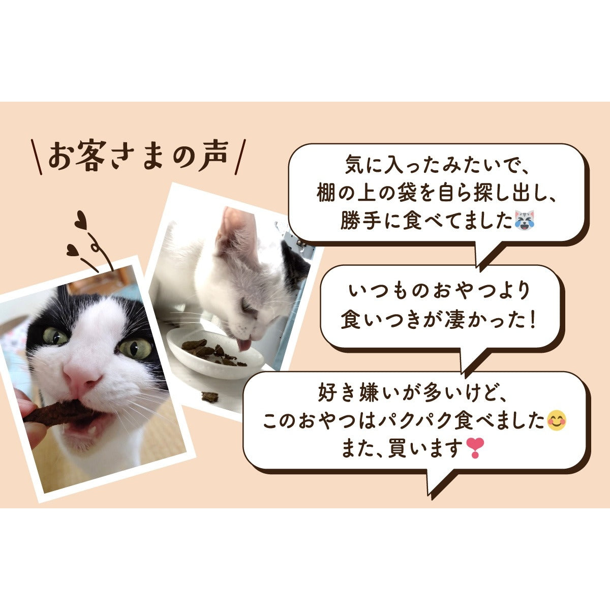 【Monsieur Masuno ARPAJON / ムッシュマスノ アルパジョン】ニャンコのおやつ プレミアム 鶏・牛・豚・鰹 ミックス 猫 おやつ 100%ヒューマングレード グルテンフリー