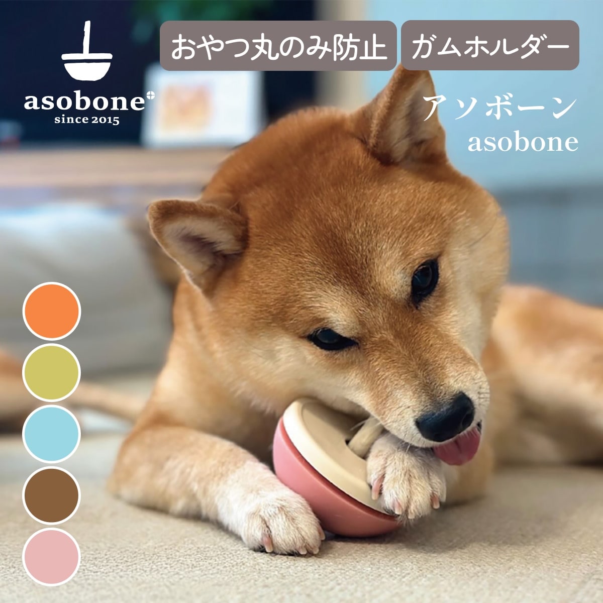 【asobone アソボーン】丸のみ・誤飲防止 ガムホルダー ガムスタンド ソフト ハード キャップ セット 日本製