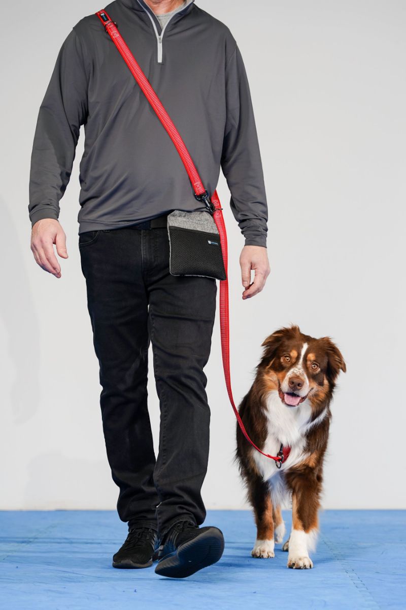 【Blue-9 ブルーナイン】リフレクティブ マルチファンクションリーシュ M/Lサイズ