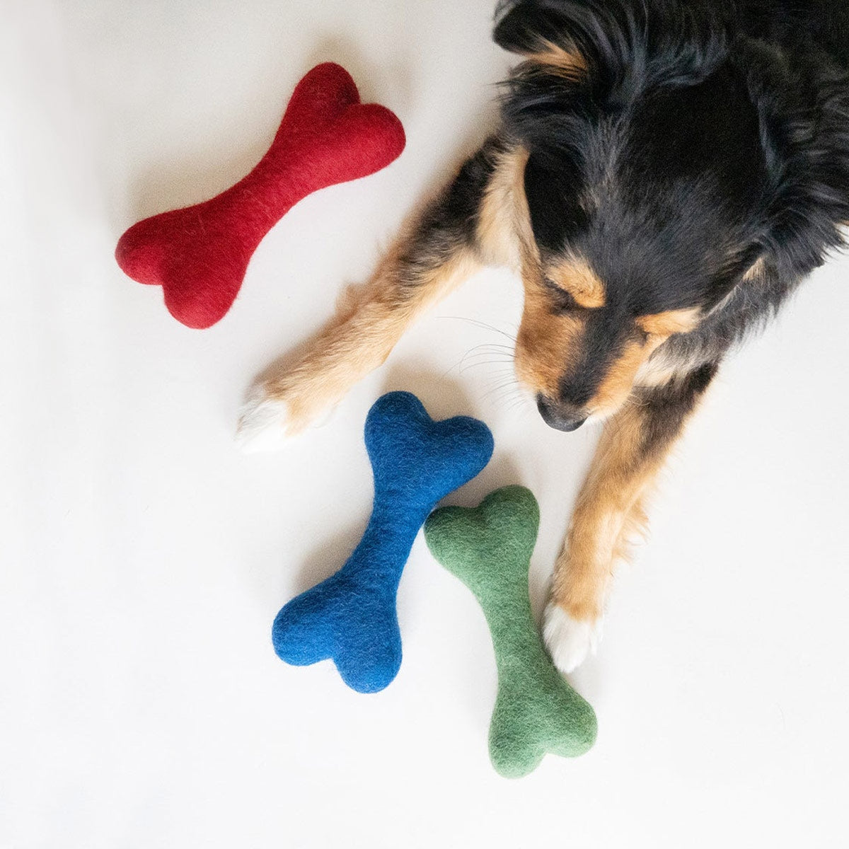 【MODERNBEAST モダンビースト】ウールボーン Sサイズ 3カラー