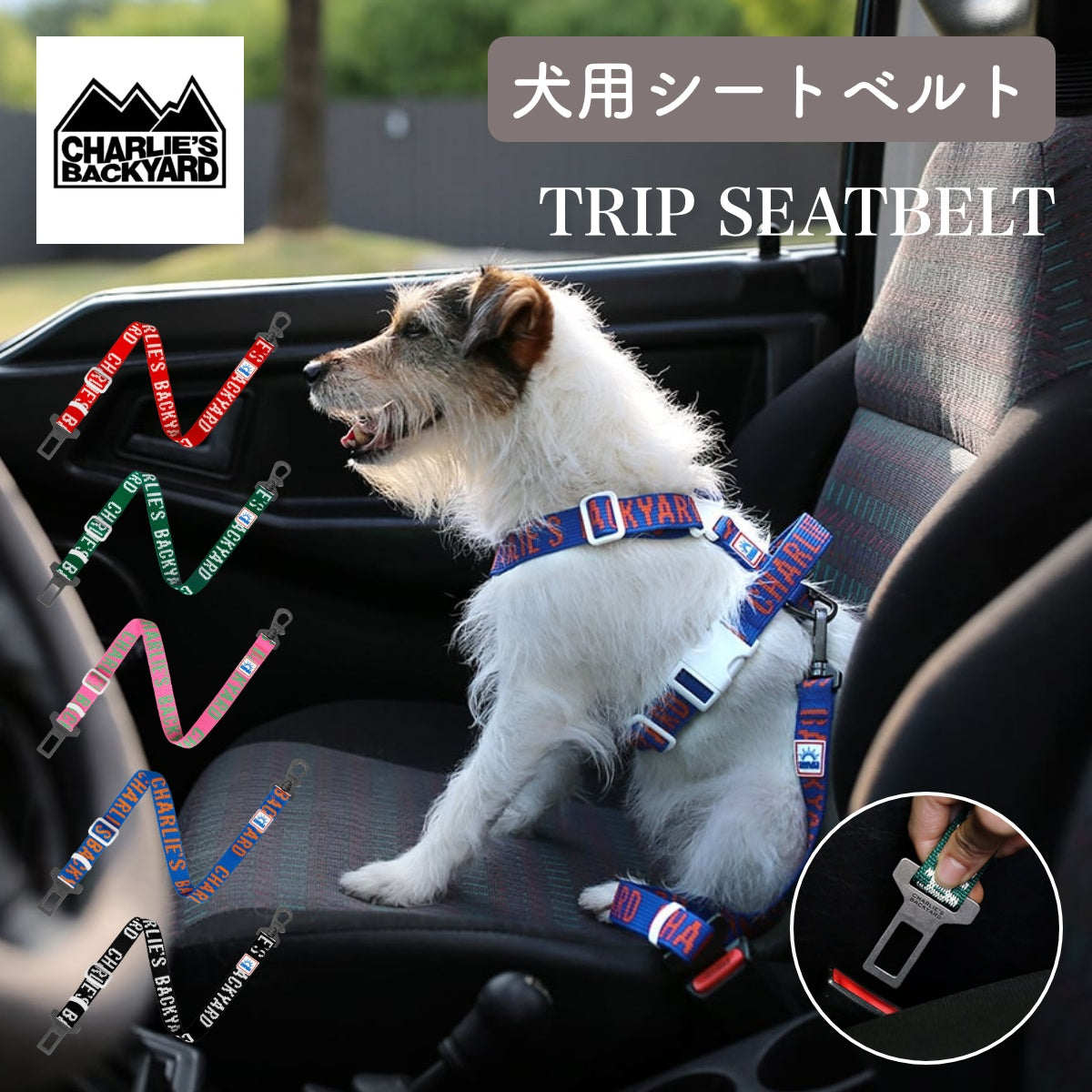 【CHARLIE'S BACKYARD チャーリーズバックヤード】TRIP SEATBELT シートベルトリード 犬用 シートベルト