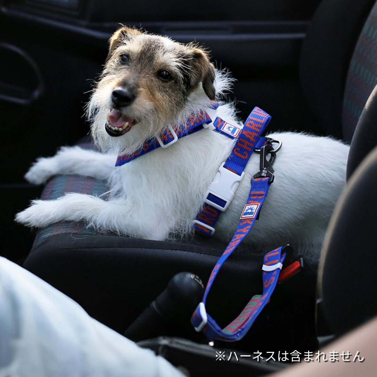 【CHARLIE'S BACKYARD チャーリーズバックヤード】TRIP SEATBELT シートベルトリード 犬用 シートベルト