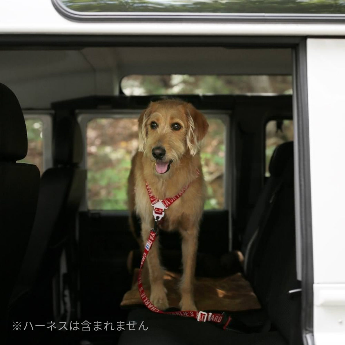【CHARLIE'S BACKYARD チャーリーズバックヤード】TRIP SEATBELT シートベルトリード 犬用 シートベルト