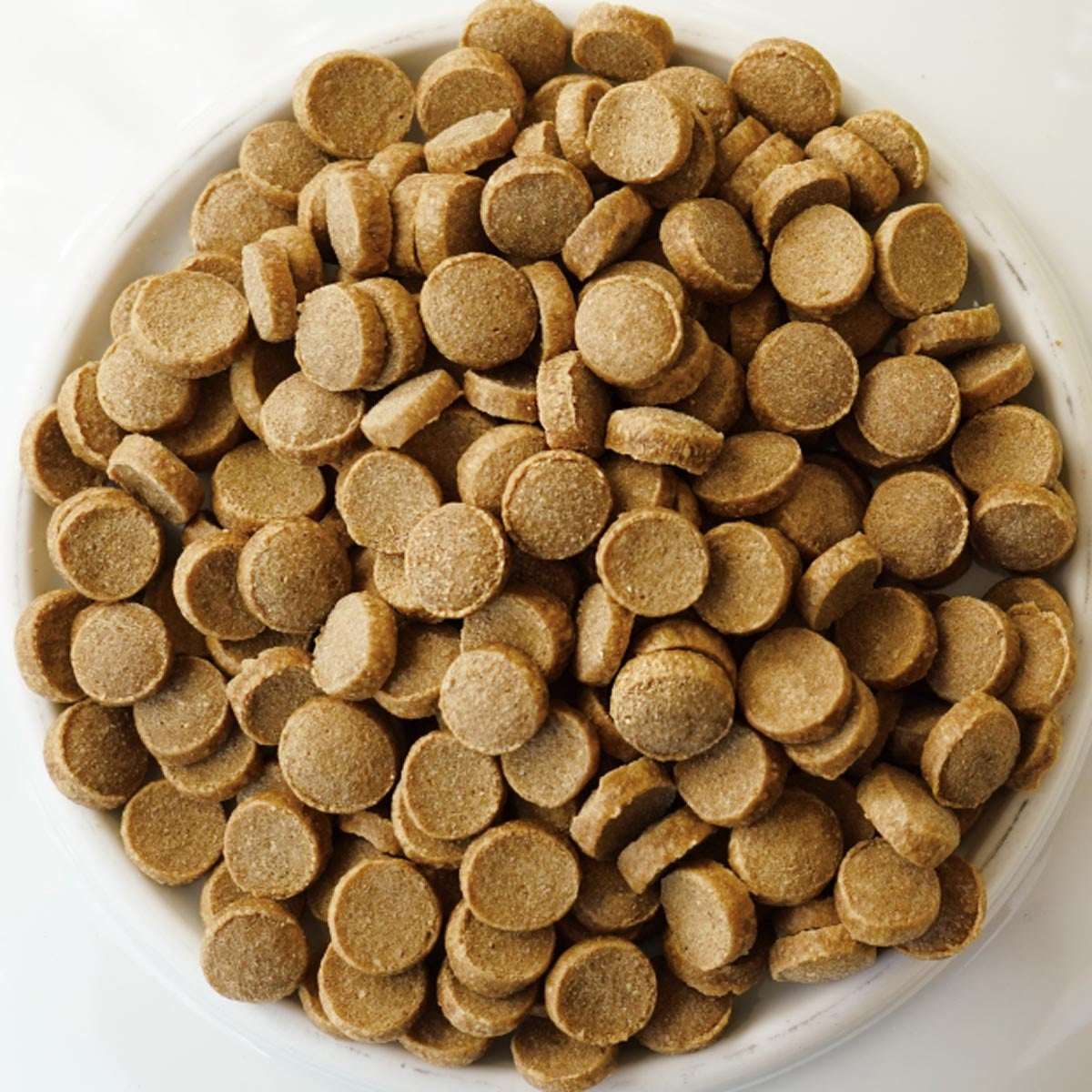 【ヤムヤムヤム! yum yum yum! 】犬用フード マグロ やわらかドライタイプ 小粒タイプ ちょこっとパック 80g