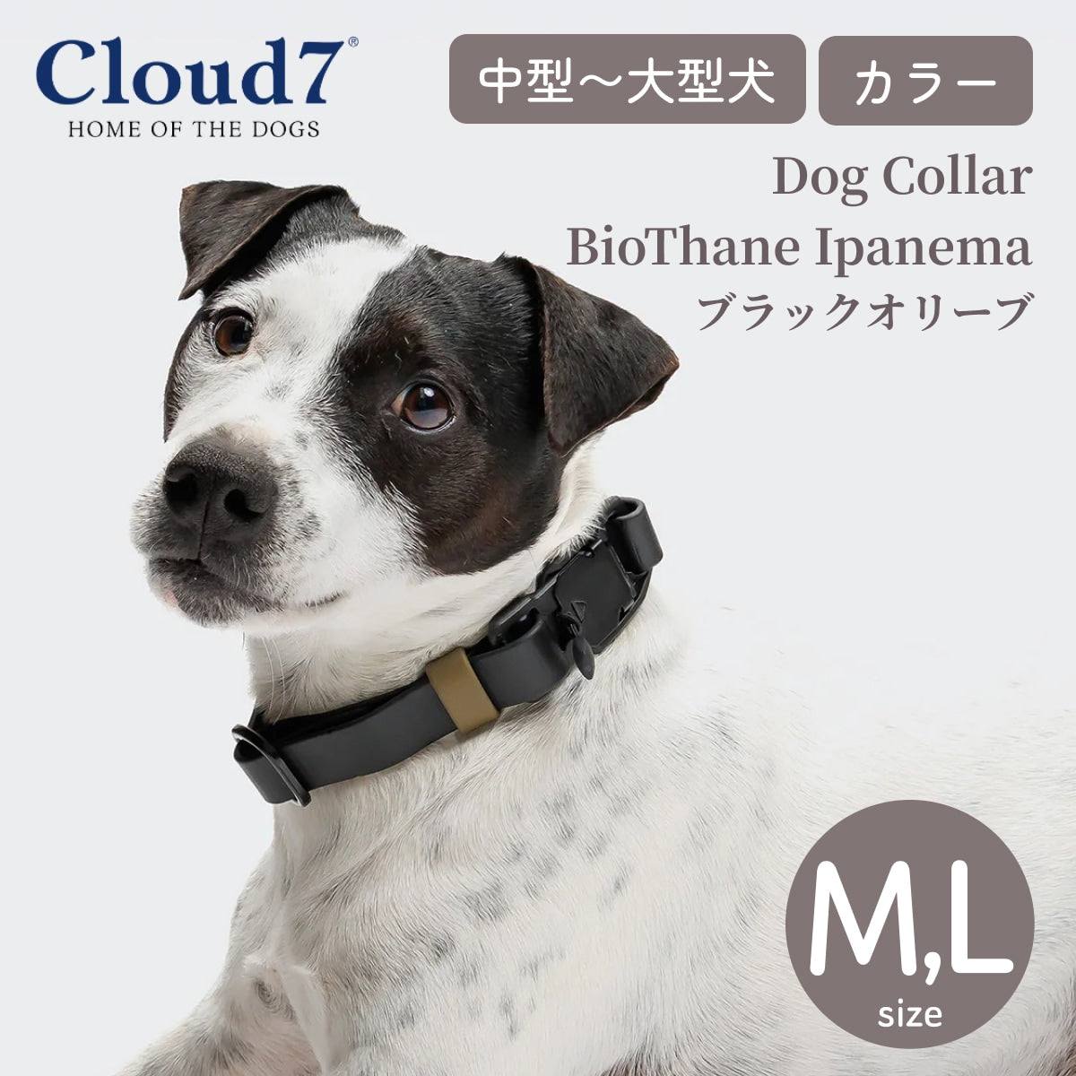 【Cloud7 クラウドセブン】ドッグカラー ビオタン イパネマ ブラックオリーブ M Lサイズ