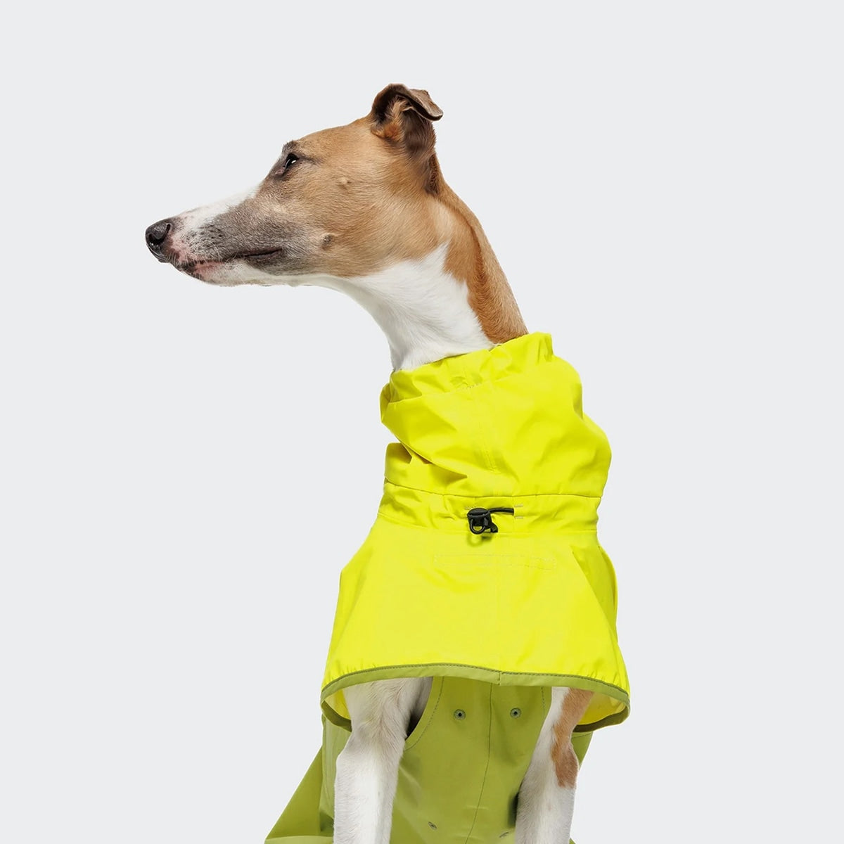 【Cloud7 クラウドセブン】犬用 レインコート アクティブ AKTIV サイズ1〜6