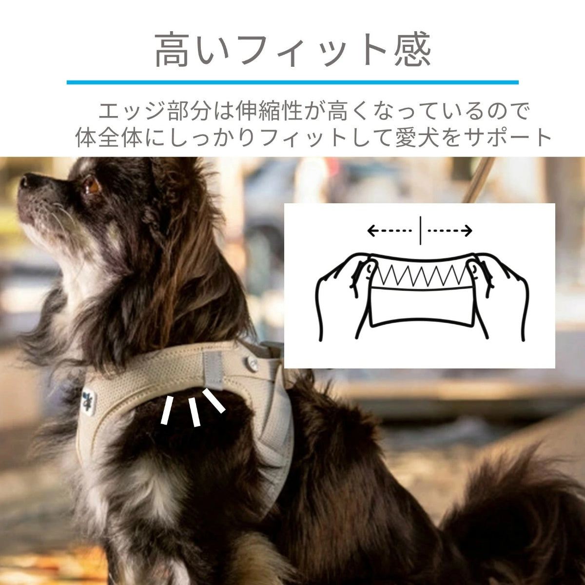 【Curli カーリー】ベストエアメッシュハーネス クラスプ 3XS 2XS XS Sサイズ