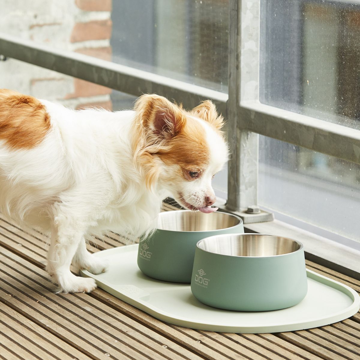 【DOG Copenhagen ドッグコペンハーゲン】ベガボウル S/Mサイズ