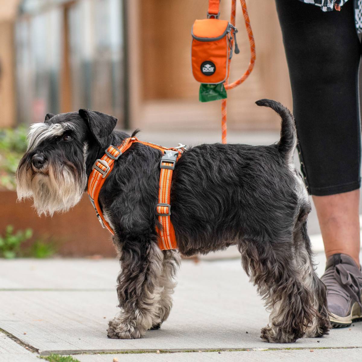 犬 ハーネス 軽量 メッシュ 通気性 小型犬 DOG Copenhagen /ドッグコペンハーゲン 公式 コンフォートウォークエア 3.0 ハーネス XSサイズ【簡単装着/快適/サイズ交換対応】