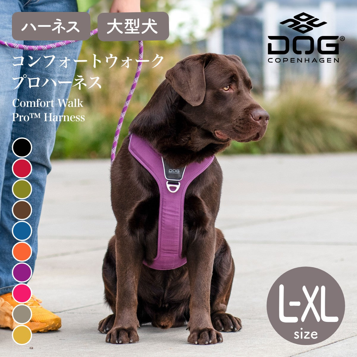 犬 ハーネス 大型犬 負担軽減 DOG Copenhagen /ドッグコペンハーゲン 公式 コンフォートウォークプロ 3.0 ハーネス L,XLサイズ【多機能/高耐久/サイズ交換対応】