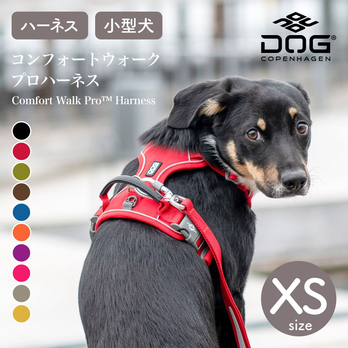 犬 ハーネス 小型犬 負担軽減 DOG Copenhagen /ドッグコペンハーゲン 公式 コンフォートウォークプロ 3.0 ハーネス XSサイズ【多機能/高耐久/サイズ交換対応】