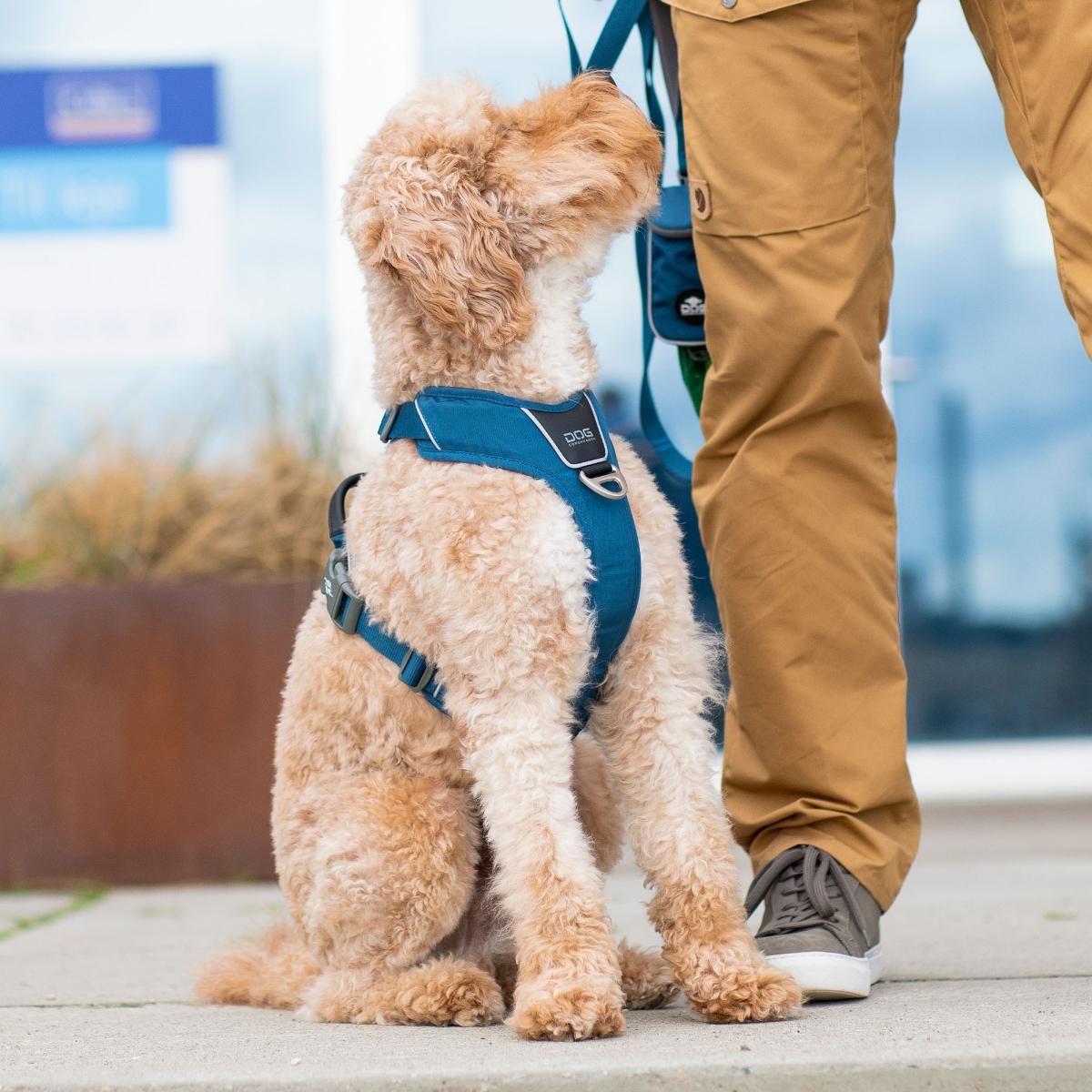犬 ハーネス 大型犬 負担軽減 DOG Copenhagen /ドッグコペンハーゲン 公式 コンフォートウォークプロ 3.0 ハーネス L,XLサイズ【多機能/高耐久/サイズ交換対応】