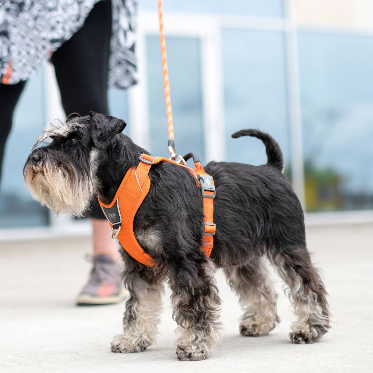 犬 ハーネス 大型犬 負担軽減 DOG Copenhagen /ドッグコペンハーゲン 公式 コンフォートウォークプロ 3.0 ハーネス L,XLサイズ【多機能/高耐久/サイズ交換対応】