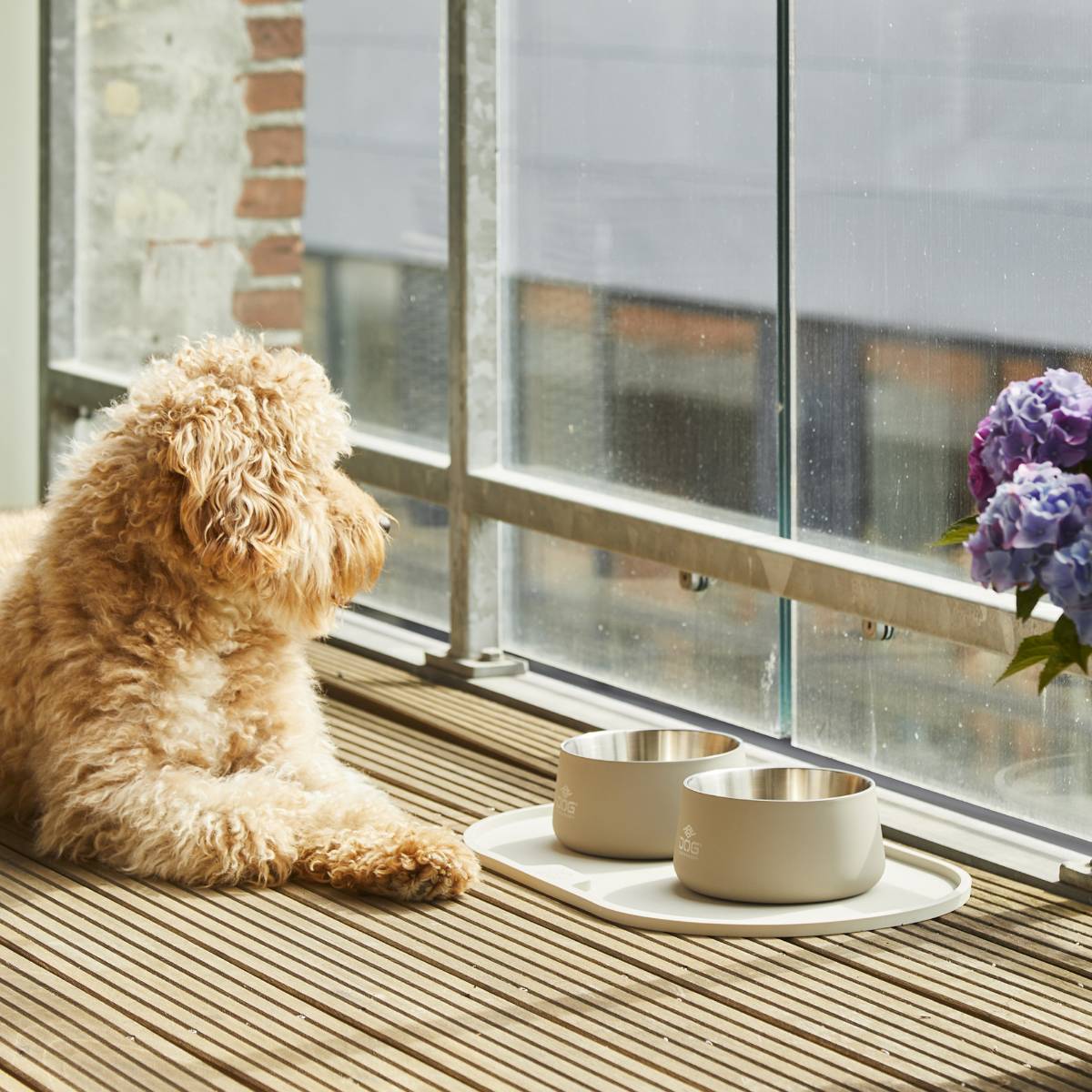 【DOG Copenhagen ドッグコペンハーゲン】ベガボウル S/Mサイズ