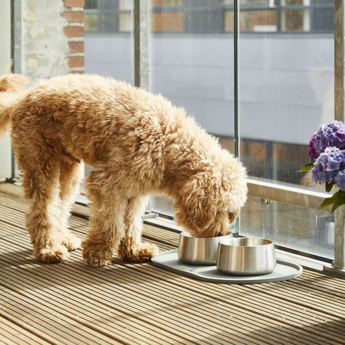 【DOG Copenhagen ドッグコペンハーゲン】ベガボウル M/Lサイズ