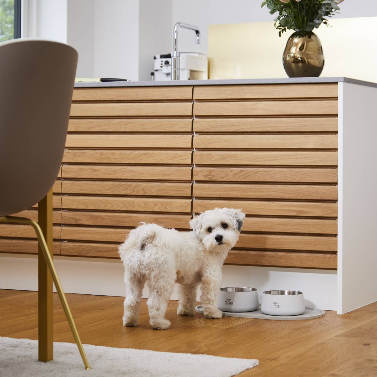 【DOG Copenhagen ドッグコペンハーゲン】ベガボウル S/Mサイズ