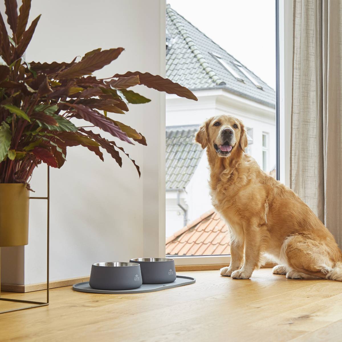 【DOG Copenhagen ドッグコペンハーゲン】ベガボウル S/Mサイズ